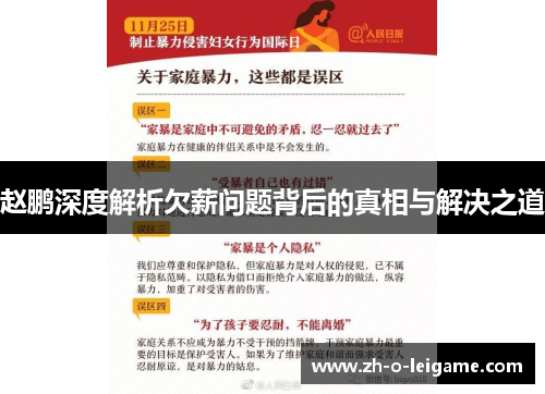 赵鹏深度解析欠薪问题背后的真相与解决之道
