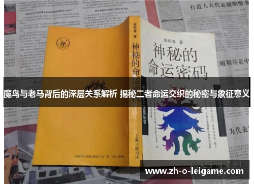 魔鸟与老马背后的深层关系解析 揭秘二者命运交织的秘密与象征意义